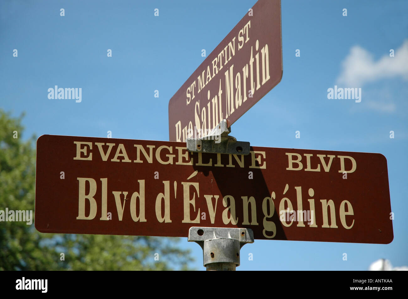 Louisiane Evangeline Blvd st signe martinsville Henry Wadsworth Longfellow poème Banque D'Images