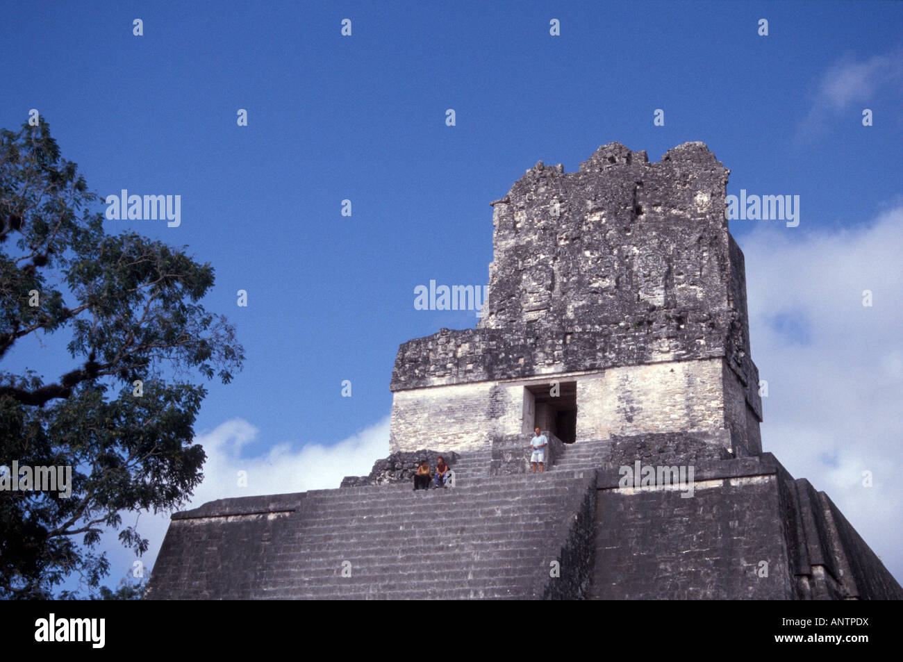 Peigne de toit de Temple II ou temple des Masques,Tikal, Guatemala Banque D'Images