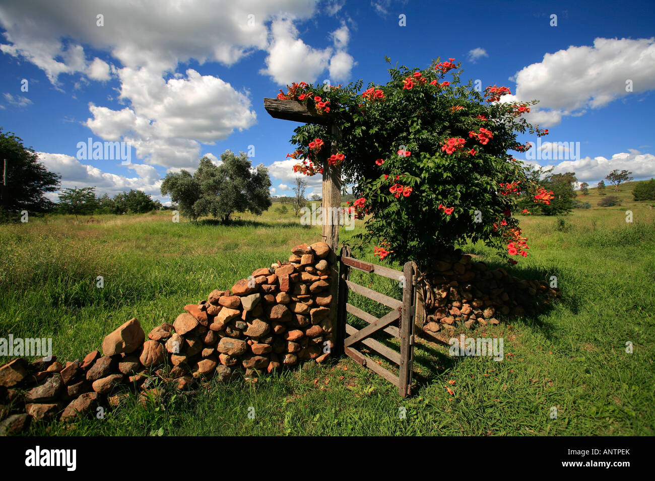 Un mur de pierre de la folie dans le paysage australien à Barraba dans la Nouvelle Galles du Sud Ouest Banque D'Images