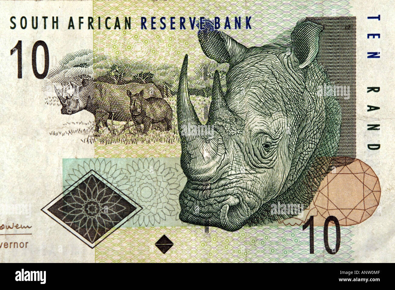 De près de l'rhino sur les dix de l'Afrique du Sud Rand note. Banque D'Images