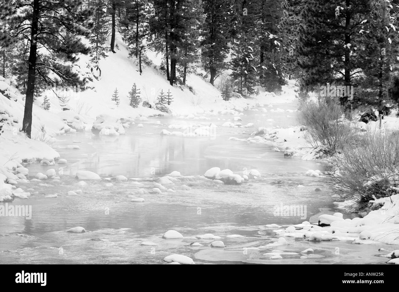 ruisseau de l’hiver Banque D'Images