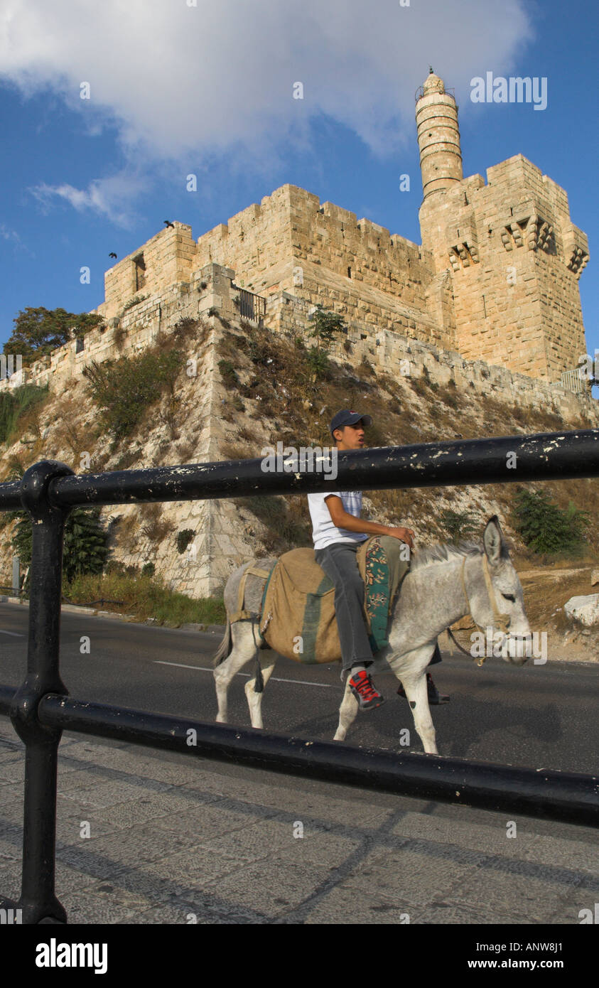 Israël Jérusalem près de la porte de Jaffa jeune palestinien passant par sur la route avec un âne Toer de David dans bkgd Banque D'Images