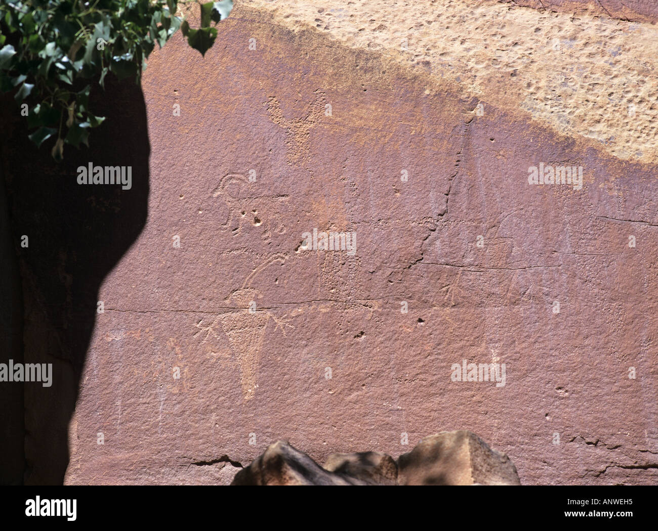 Pétroglyphes Fremont, Capitol Reef np, Utah, USA Banque D'Images