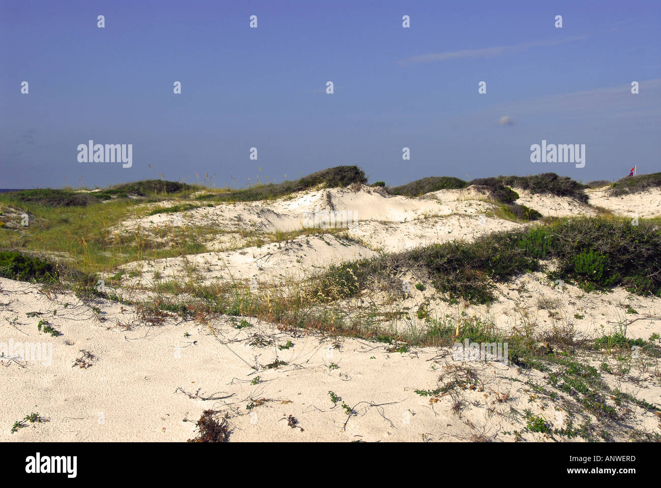 Parc d'État de Floride Grayton Beach sand dunes Banque D'Images