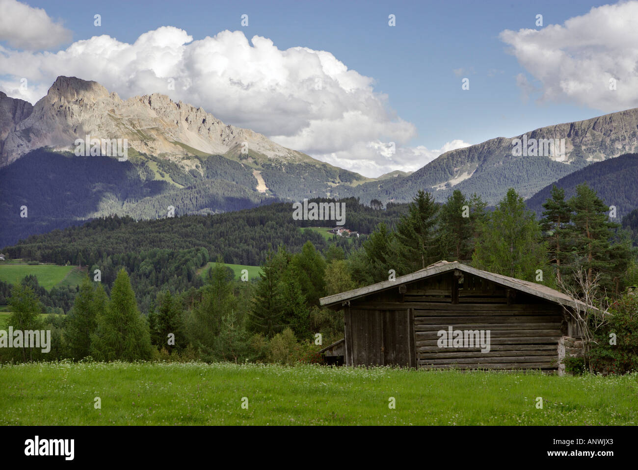Cabane en bois sur une prairie derrière la chaîne de montagnes rosengarten, Pistoia, eggen, vallée du Tyrol du sud, Italie Banque D'Images
