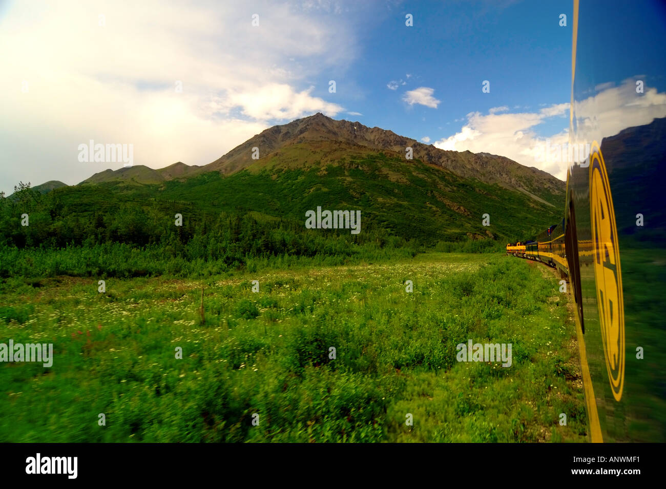 Beaux paysages de l'alaska vu du côté d'un train en mouvement rapide Banque D'Images