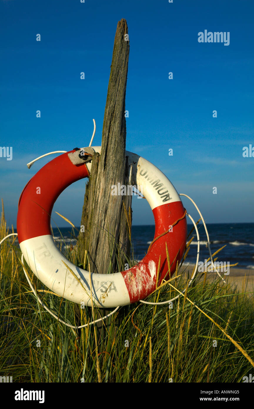 La courroie de la vie, la plage de Sandhammaren, Ystad, en Suède Banque D'Images