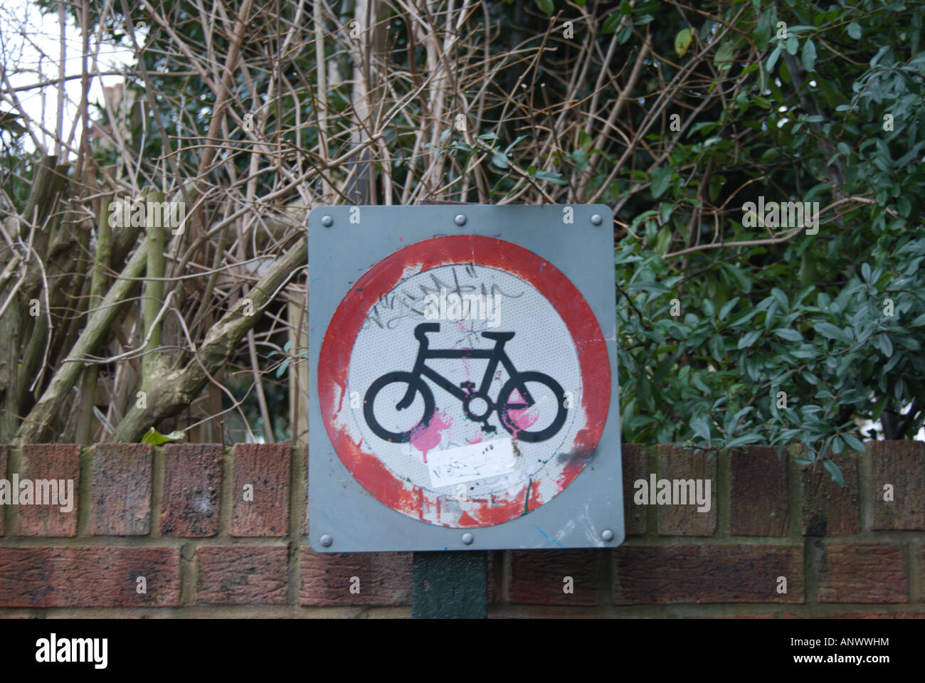 Pas de vélo signer barbouillés de graffitis, rose et rouge et d'une étiquette papier collant blanc vu contre un mur de briques et les racines des arbres Banque D'Images