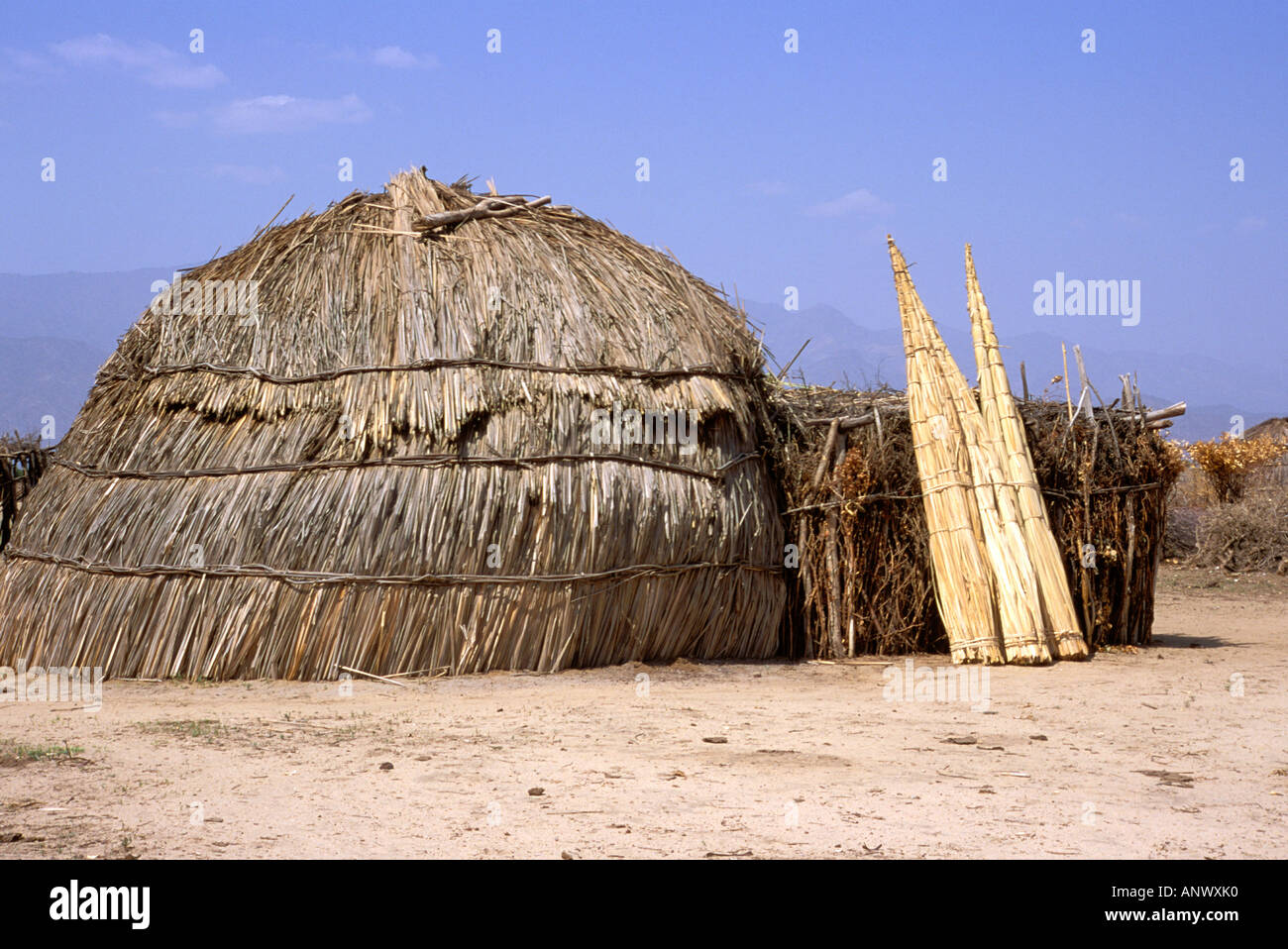 Un Aerbore hut, région de l'Omo en Éthiopie, en Afrique. Banque D'Images