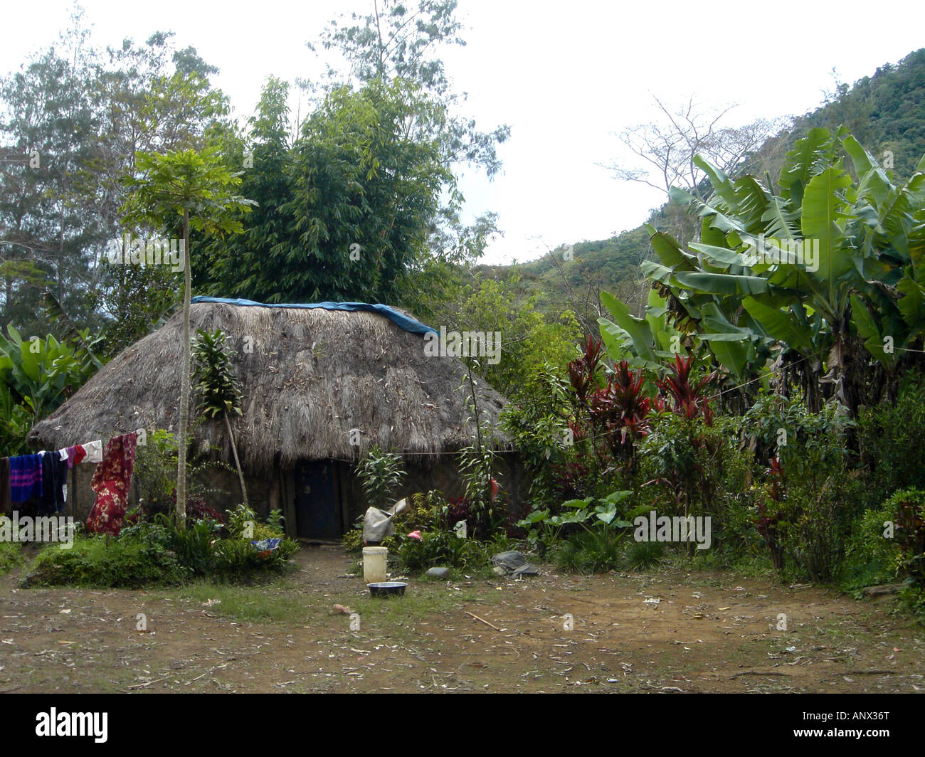 Cabane dans les hautes terres de Papouasie Nouvelle Guinée, Papouasie Nouvelle Guinée Banque D'Images