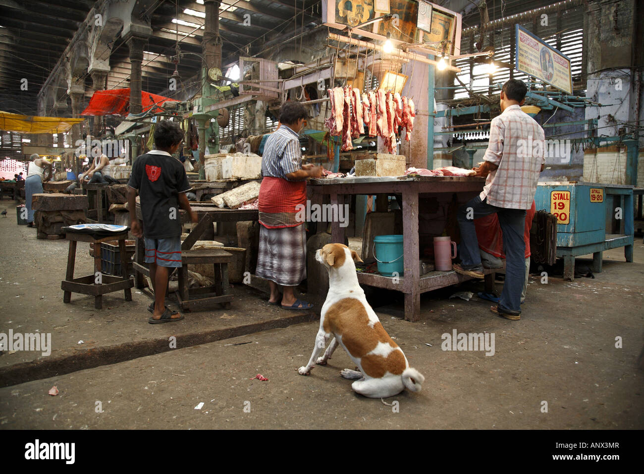 Boucher au nouveau marché, l'Inde, Kalkutta Banque D'Images
