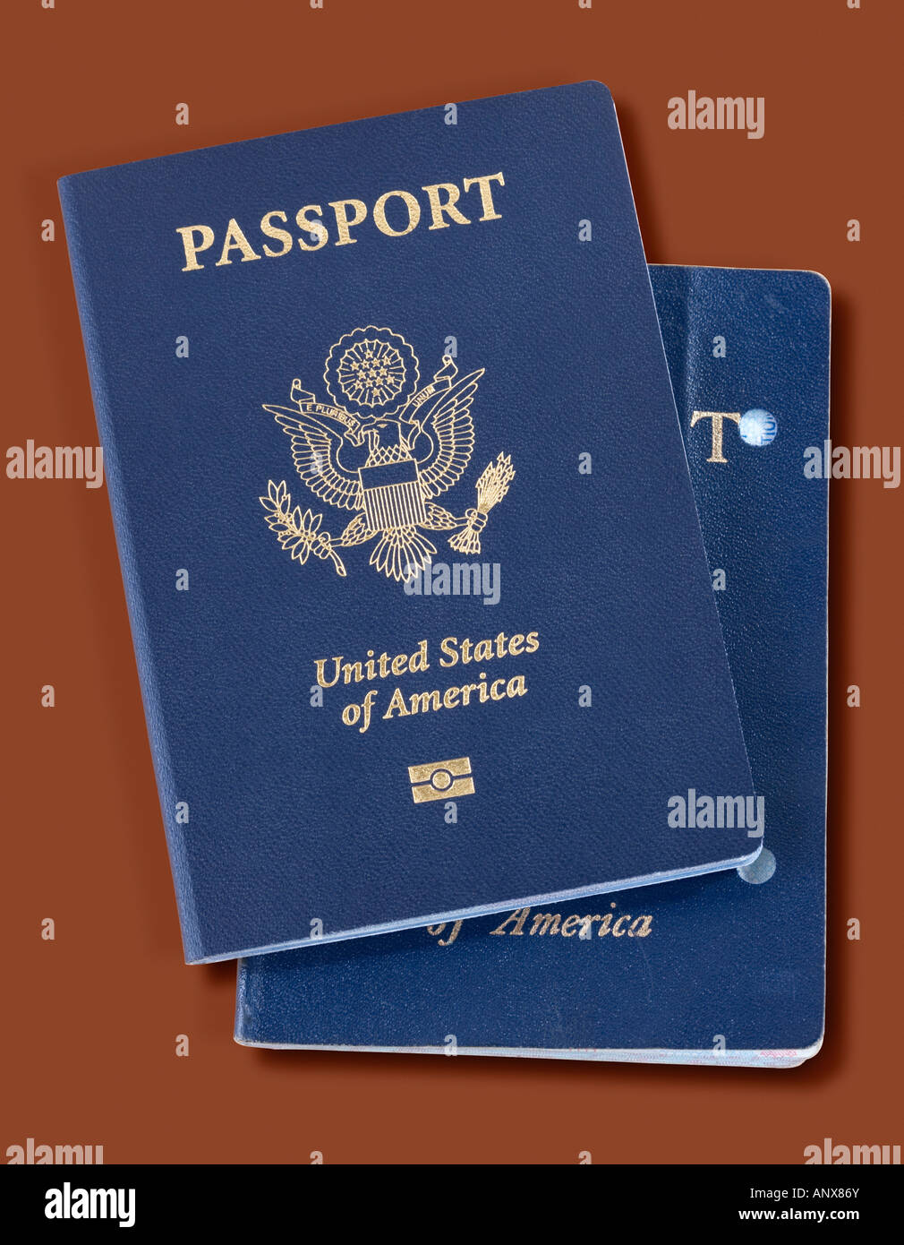 Nouveau passeport électronique avec l'ancienne version non annulée en copeaux Banque D'Images