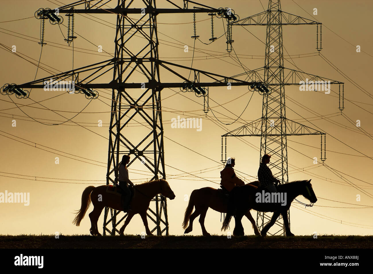 Trois silhouettes de cavalières en face de poteaux d'électricité, de l'Autriche Banque D'Images