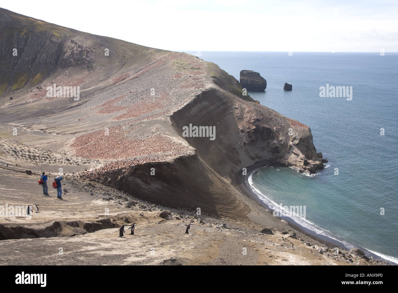 L'Antarctique, l'Île Déception, près de Bailey Head Banque D'Images