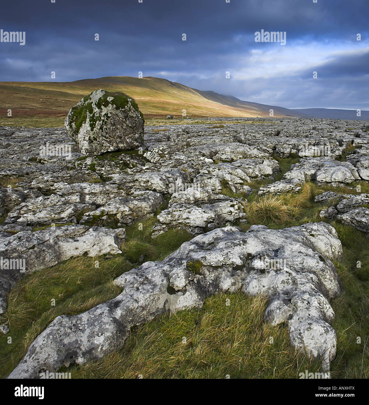 Comité permanent sur les écailles irrégulières boulder Moor, au pied de la colline de Whernside Yorkshire Dales UK Banque D'Images