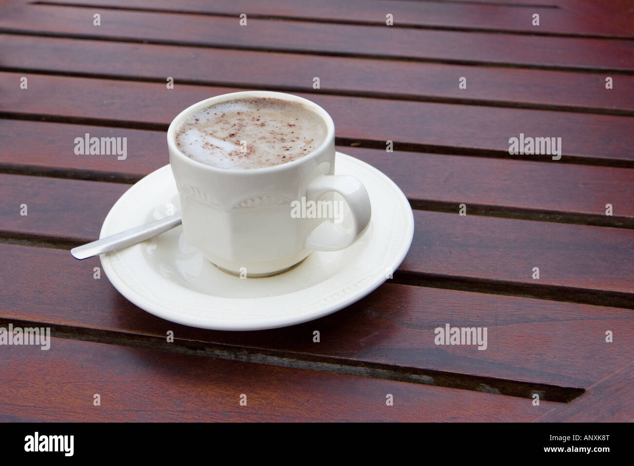 Tasse de cappuccino chaud riche Banque D'Images