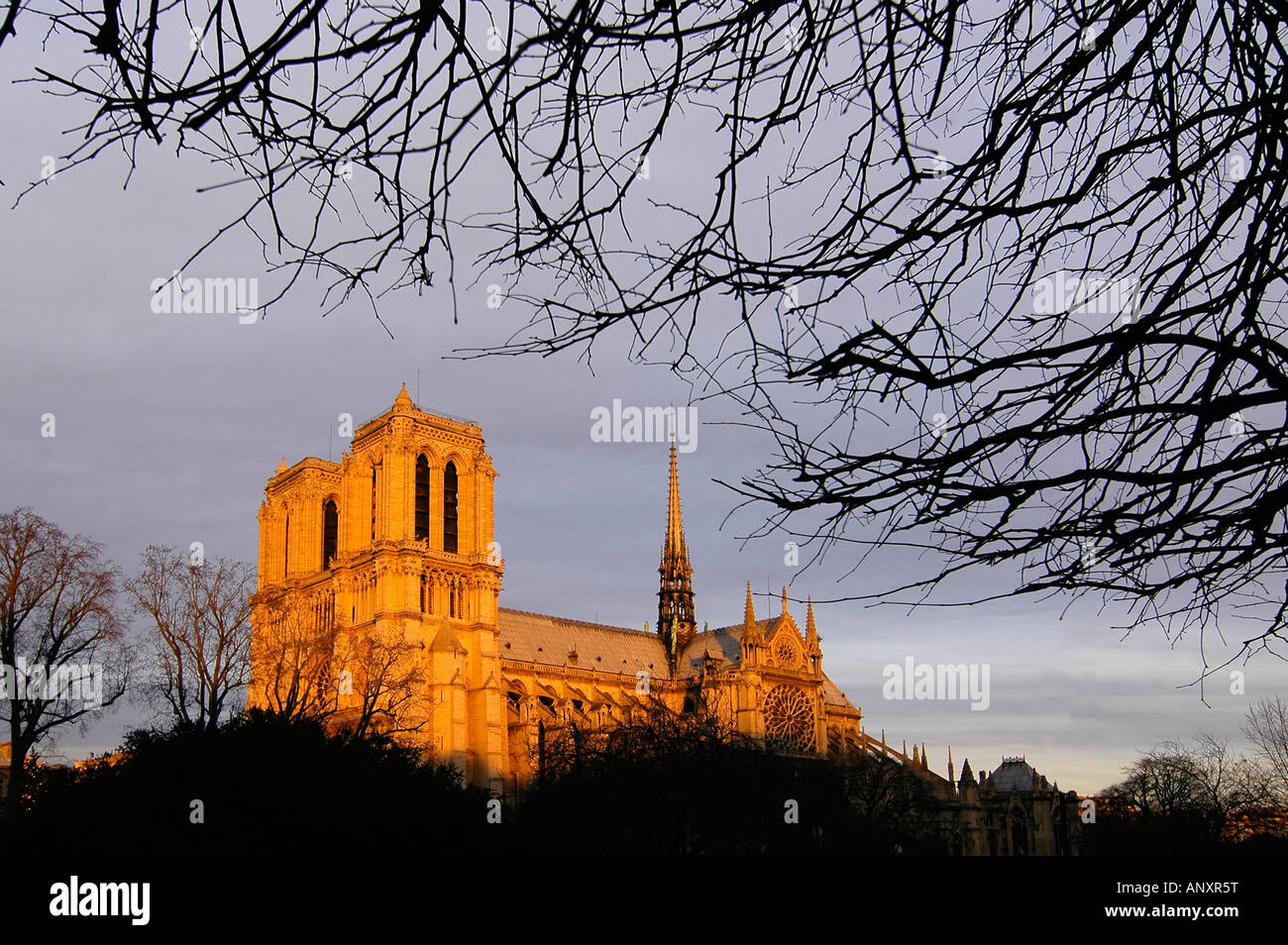 Une photo de la cathédrale Notre Dame dans le cadre d'un hiver spectaculaire coucher du soleil la lumière, à Paris, France. Banque D'Images