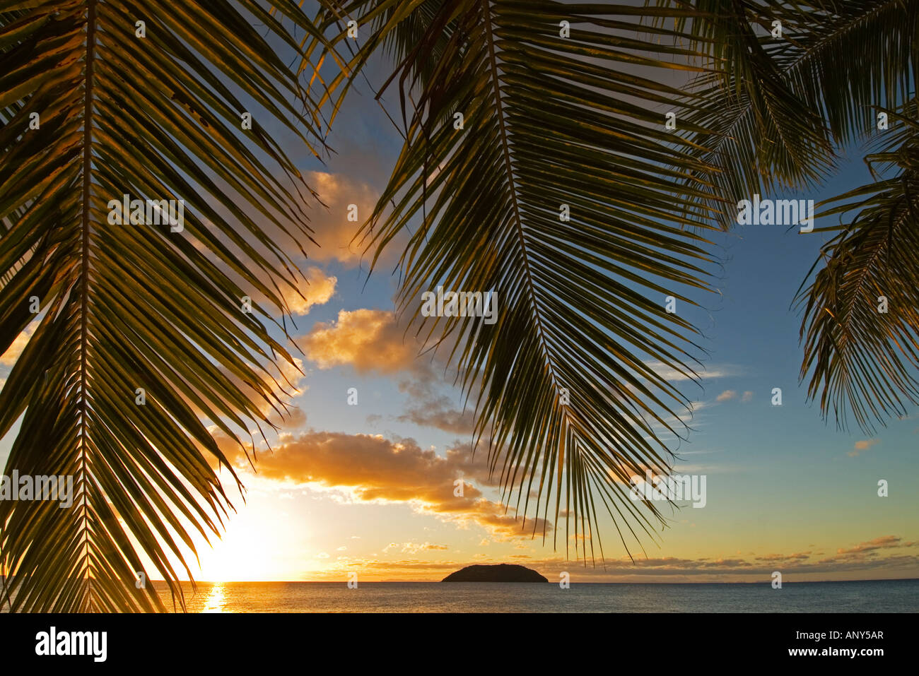 Pacifique Sud, les Îles Fidji, Kadavu. Coucher du soleil par plams de la plage sur l'île de Dravuni. Banque D'Images