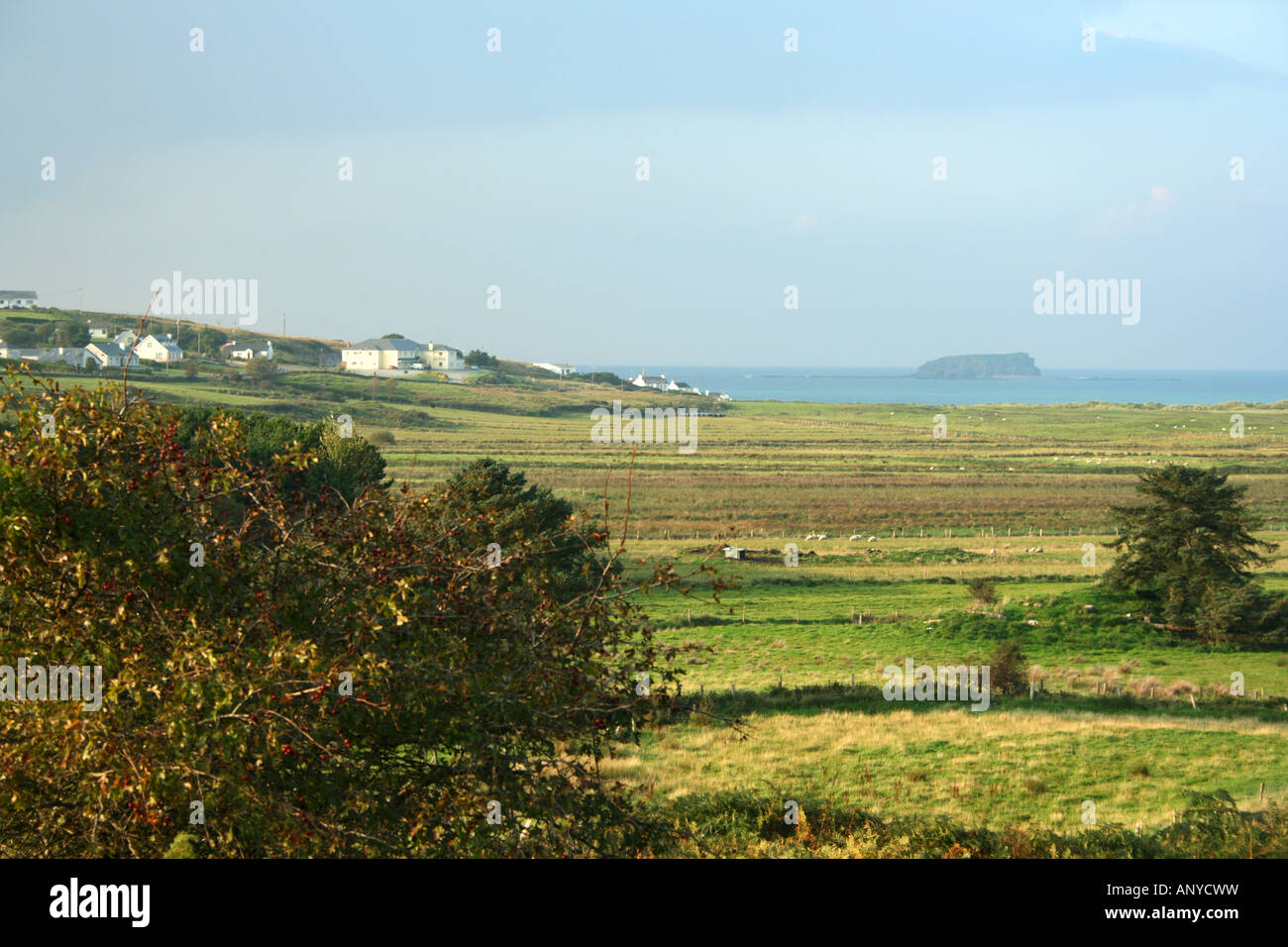 À travers les champs à Glashedy Island et l'Atlantique, Donegal, de l'extérieur, à travers l'Isle de Ballyliffen Doagh, Irlande Banque D'Images
