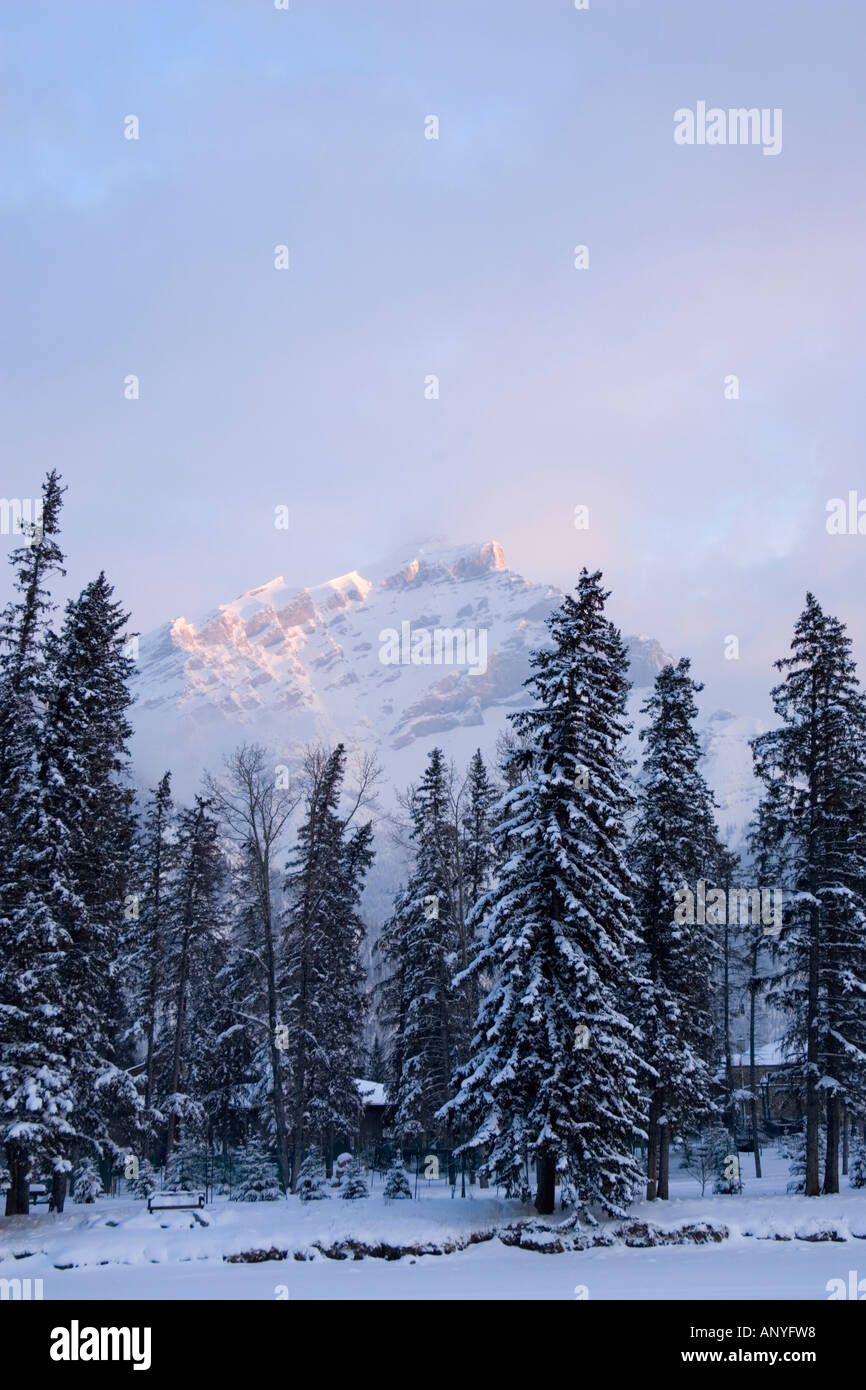 Canada, Banff, vue de Mt. Norquay en hiver Banque D'Images