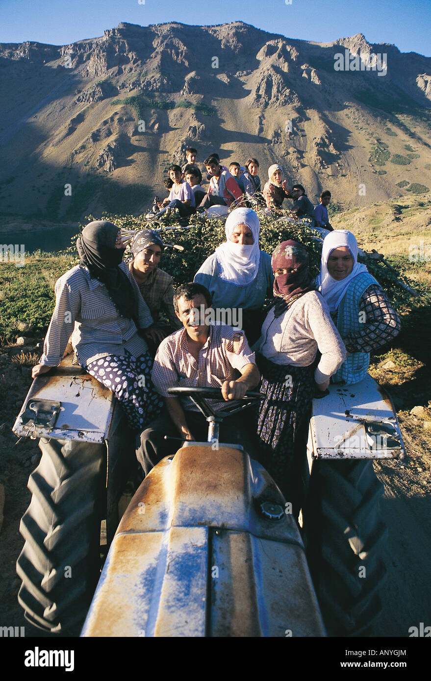 Les travailleurs agricoles sur un tracteur, Bitlis la Turquie. Banque D'Images