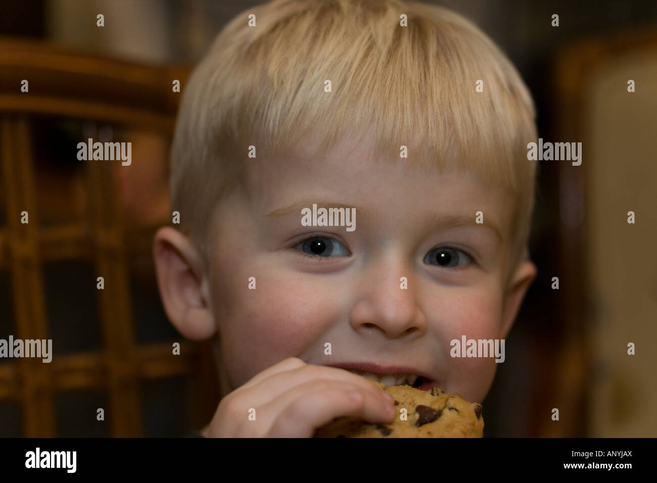 Enfant et le cookie Banque D'Images