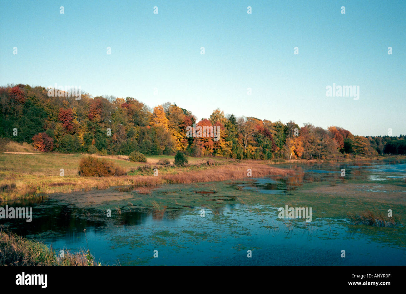Couleurs d'automne se reflétant dans le lac Matinu Siguldas salon Lettonie Banque D'Images