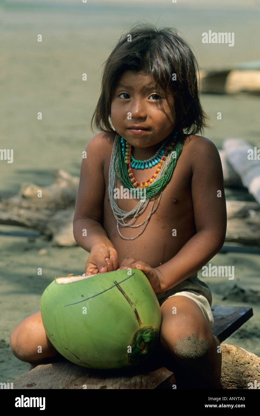 PANAMA, Darien Jungle, CHOKO ou peuple Embera, jeune enfant de coco d'ouverture Banque D'Images