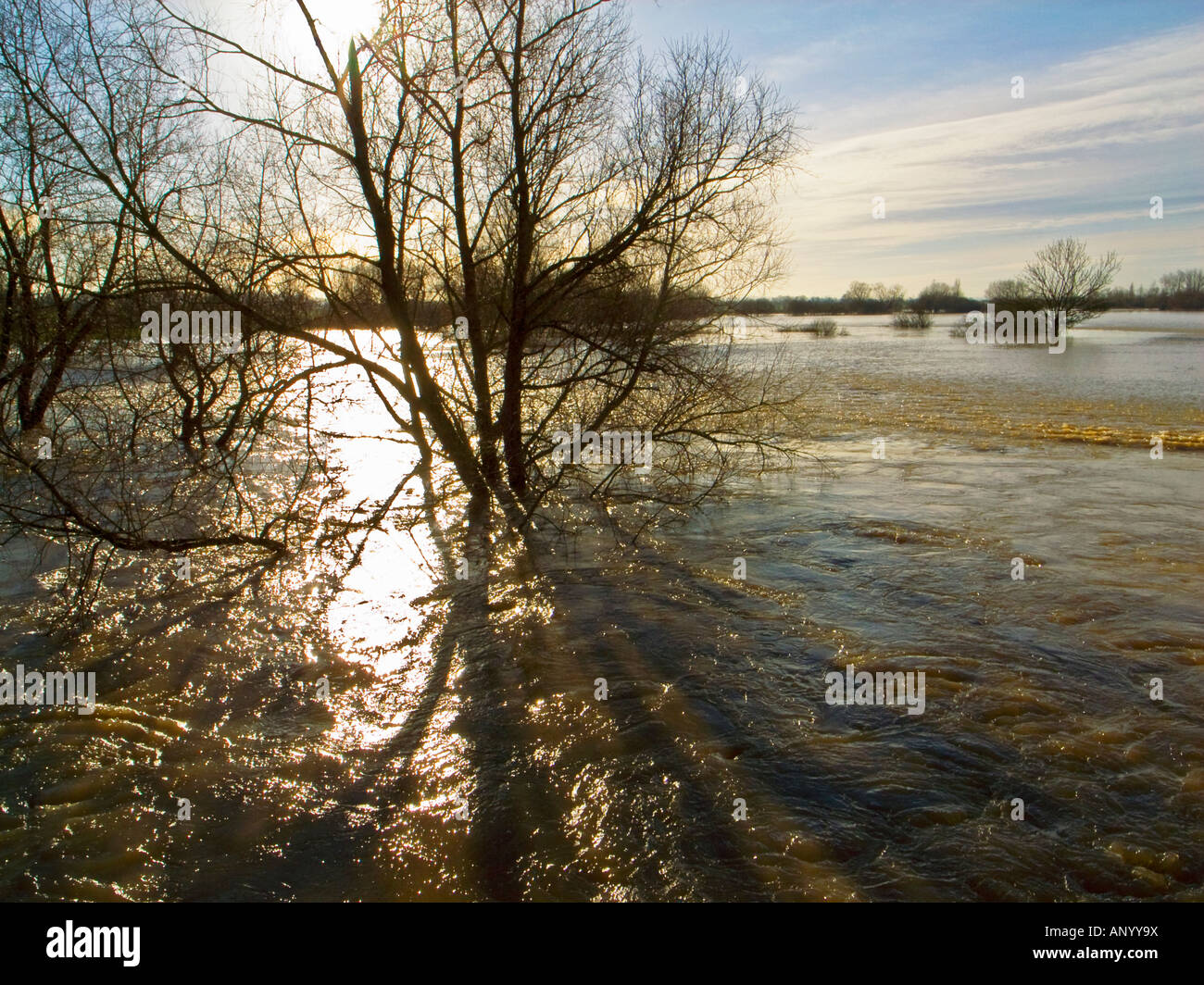 Soleil, les eaux de crue de la rivière Avon à Lacock, en janvier 2008 dans le Wiltshire England UK UE Banque D'Images