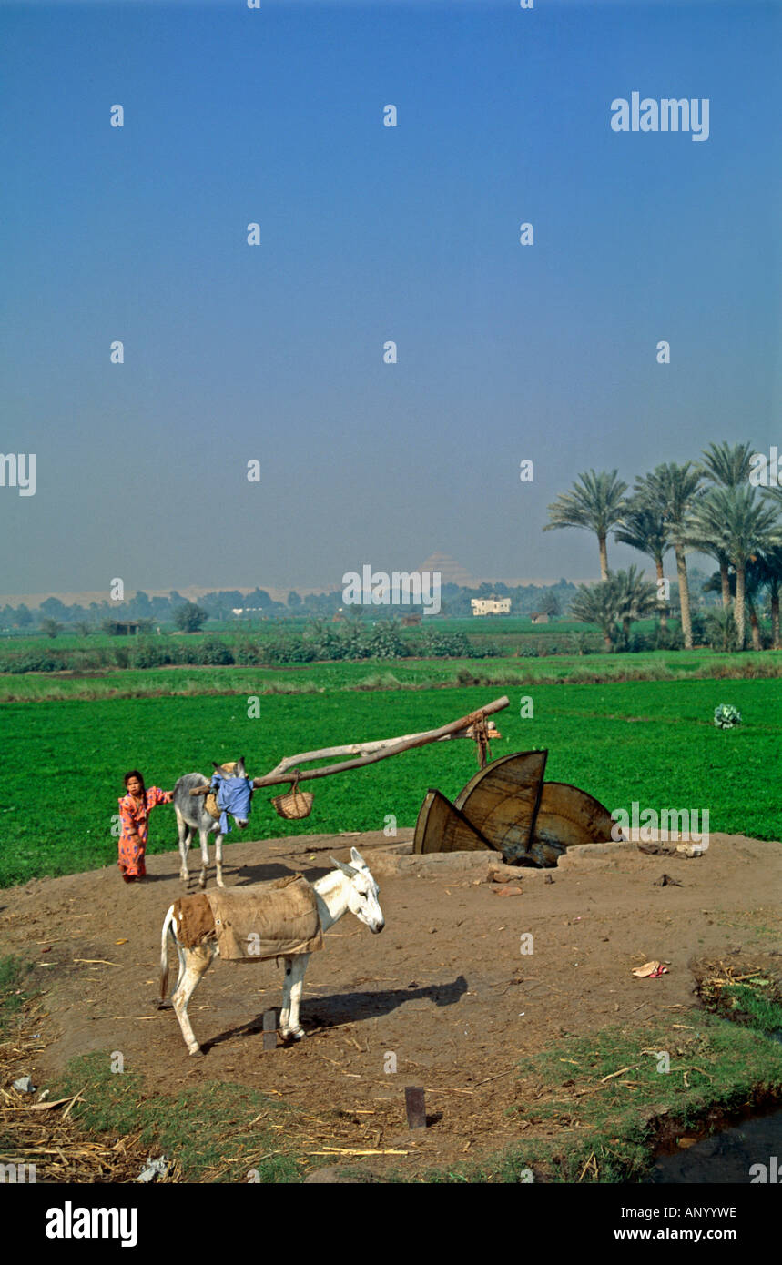 Pyramide de Sakkarah Egypte système d'irrigation de l'eau Banque D'Images