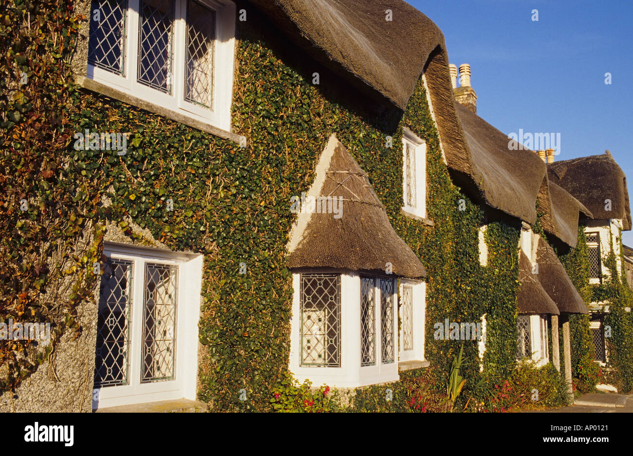 Saint Mawes Cornwall Angleterre couverte de lierre maison en pierre au toit de chaume Banque D'Images