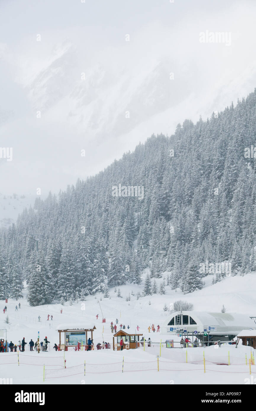 FRANCE, Alpes (Savoie), COURCHEVEL 1850 : Jardin Alpin d'hiver / Ski Banque D'Images