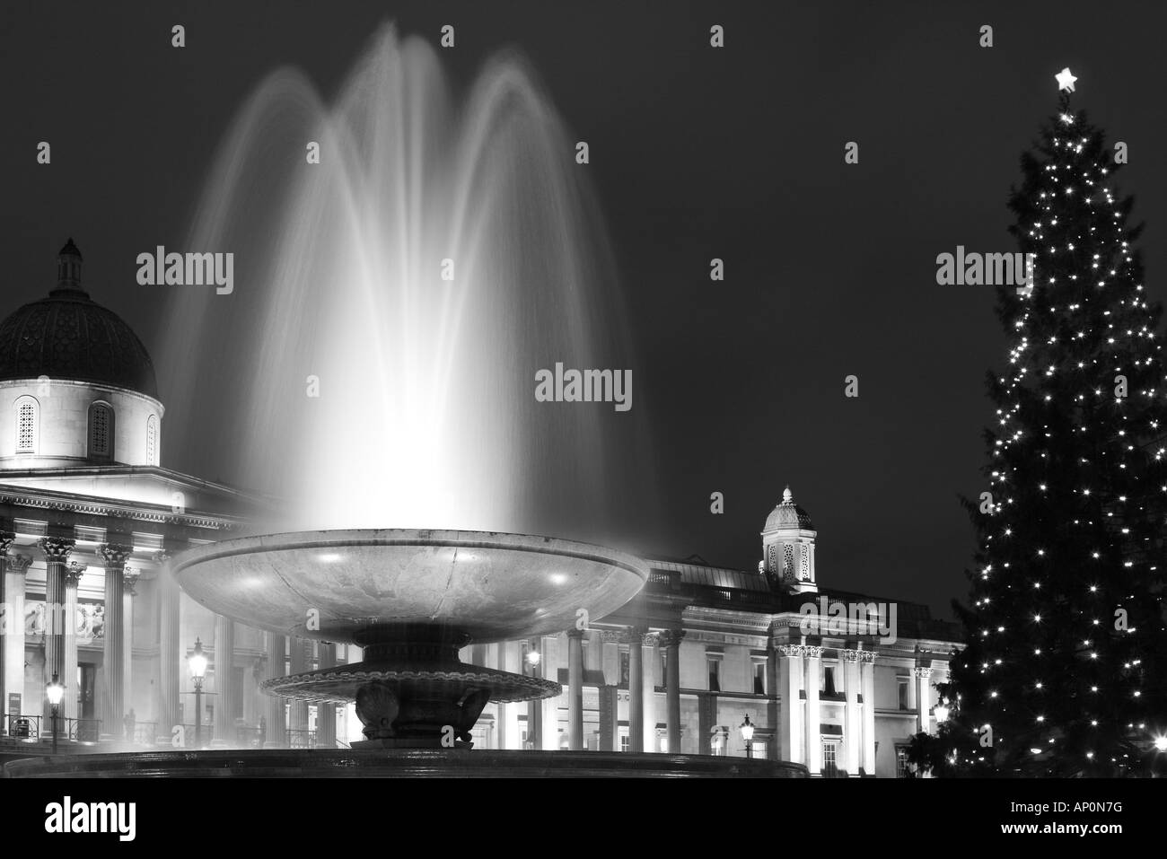 Arbre de Noël et des fontaines de nuit, Trafalgar Square, Londres, Angleterre, Grande-Bretagne Banque D'Images