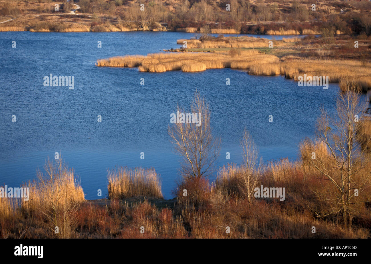 Zone de loisirs de Wienerberg Vienne Banque D'Images