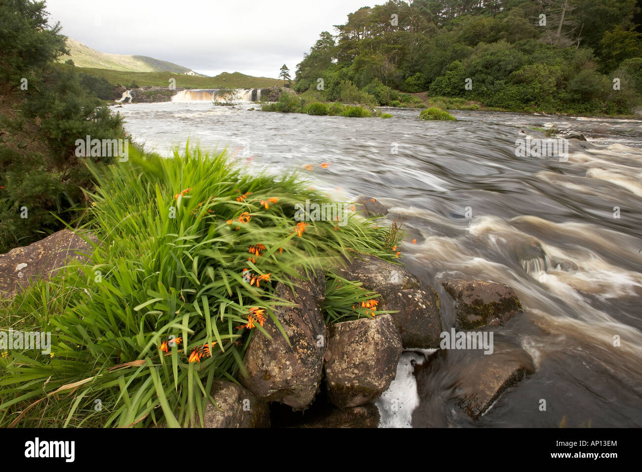 Aasleagh falls sur la rivière Erriff près de Leenane Leenane Connemara Comté de Mayo en Irlande Banque D'Images