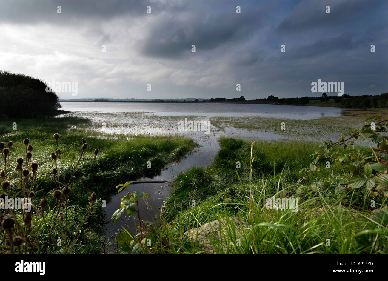 Réservoir de Stoneyford, co Antrim, en Irlande du Nord Banque D'Images