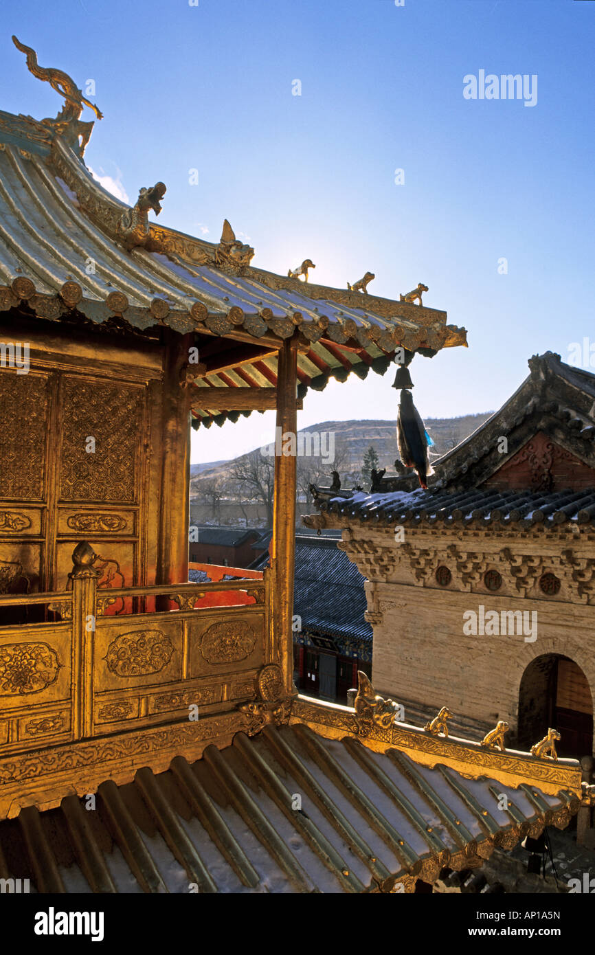 Golden Hall dans le cuivre, Xian Tong Temple, le plus ancien monastère de Mont Wutai Wutai shan, montagne, terrasse, cinq centre bouddhiste, à Banque D'Images