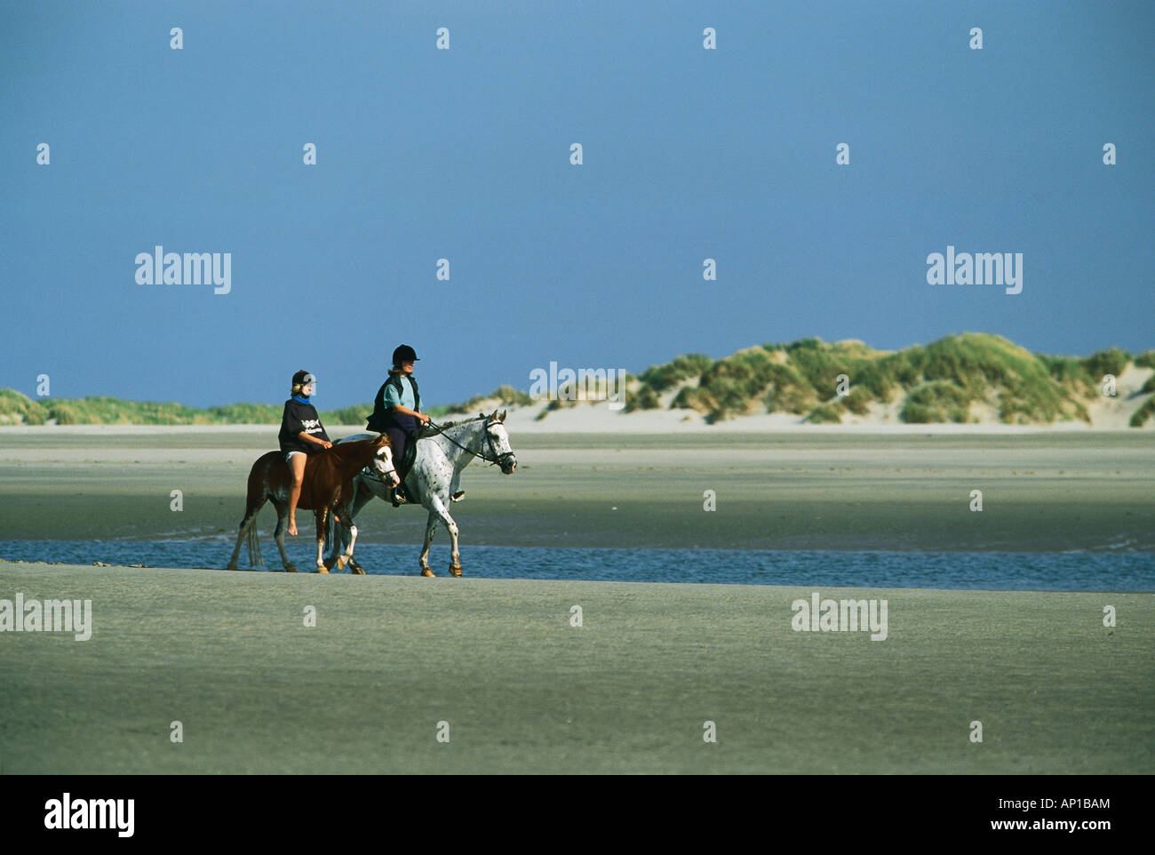 Montés sur des chevaux sur la plage, l'île de Norderney, Allemagne Banque D'Images