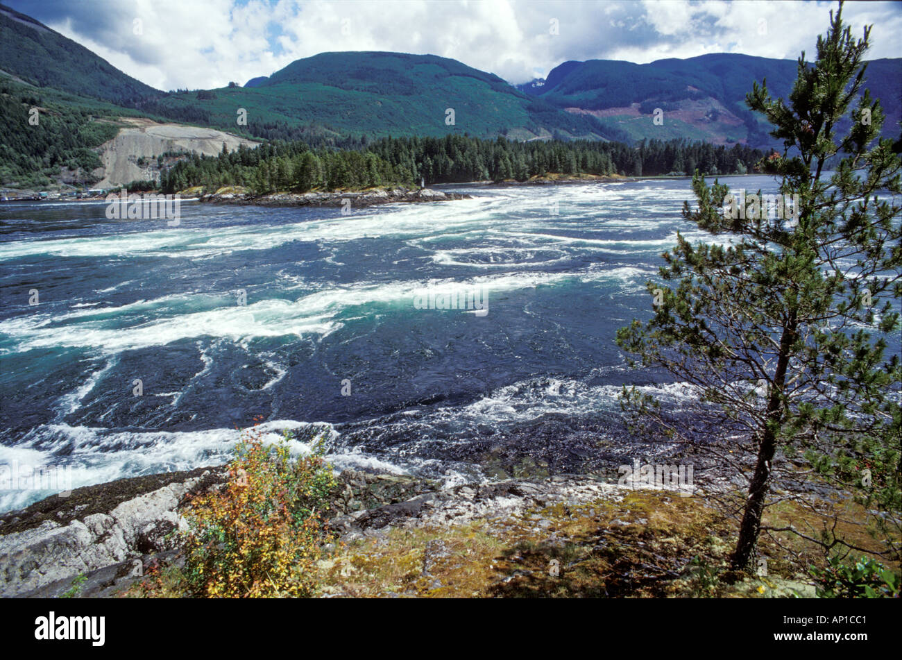 Les marées d'eau salée rapides de Skookumchuck Narrows Provincial Park Banque D'Images