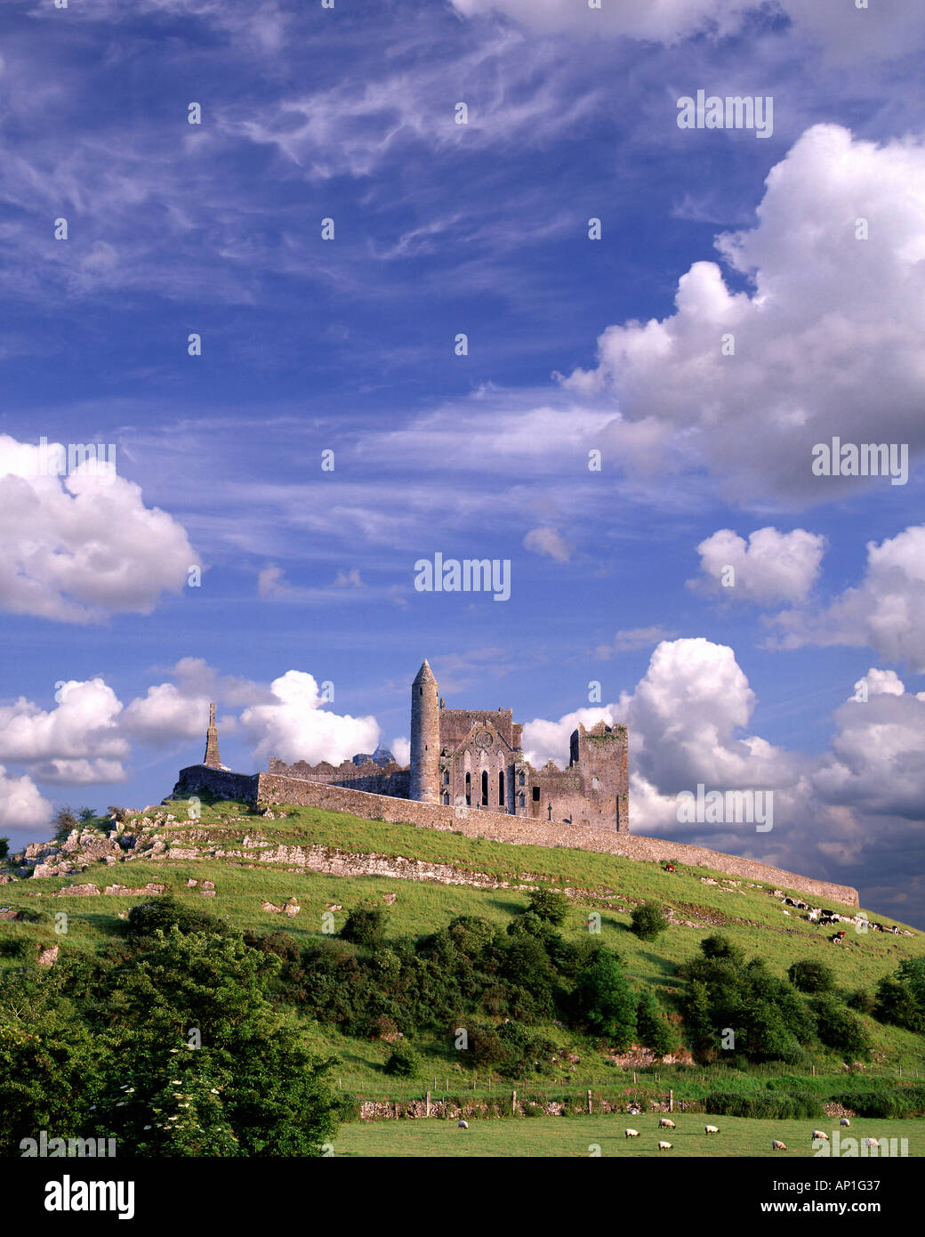 IE - CO TIPPERARY : Rock of Cashel Banque D'Images