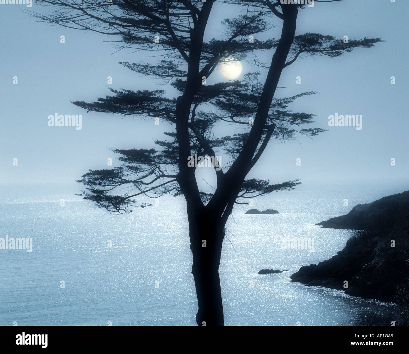 Go - DEVON : Combe Point près de Dartmouth Banque D'Images