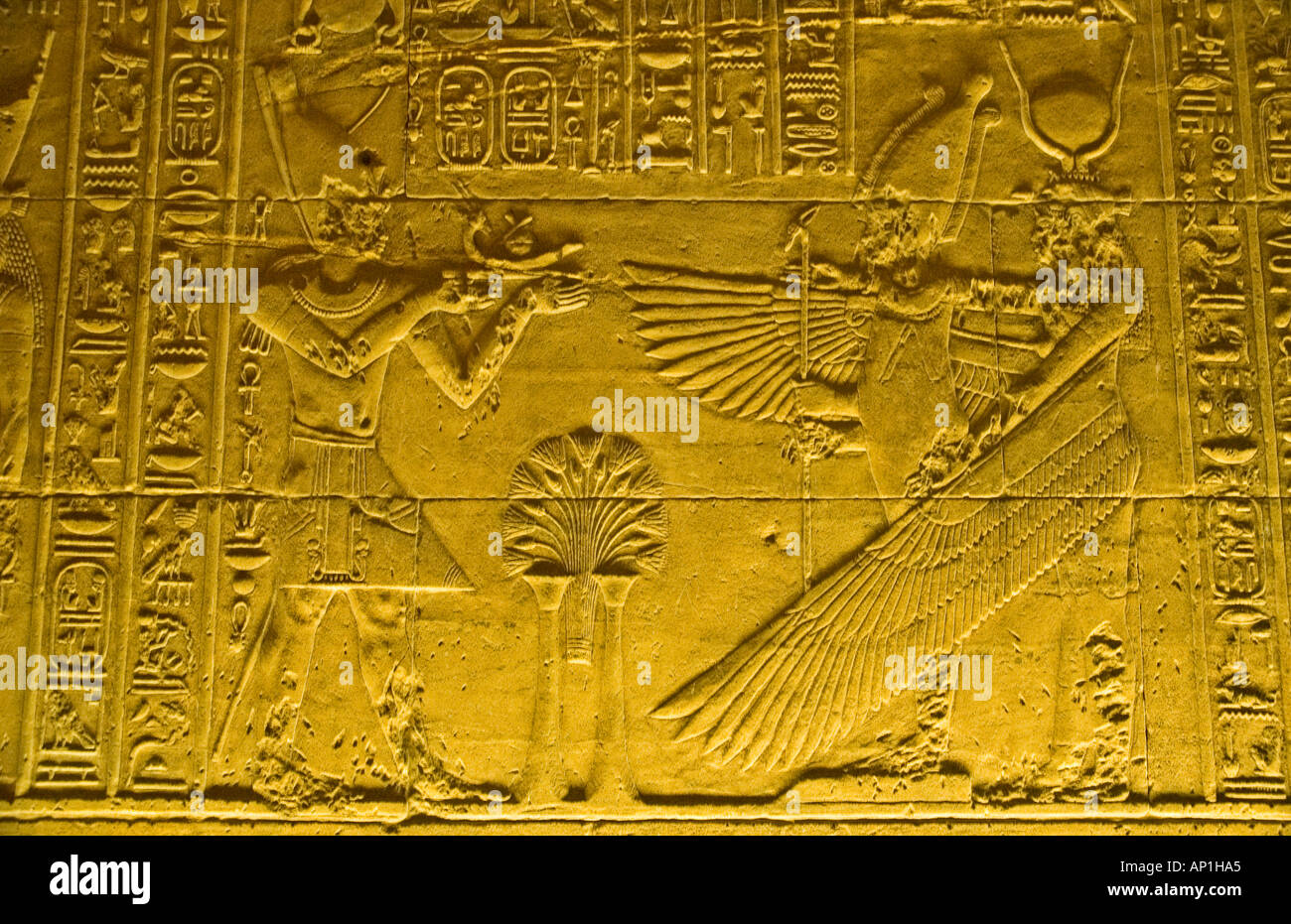 Temple d'Isis Philae Aglika Island River Nile Haute Egypte Moyen-orient DSC 4160 Banque D'Images