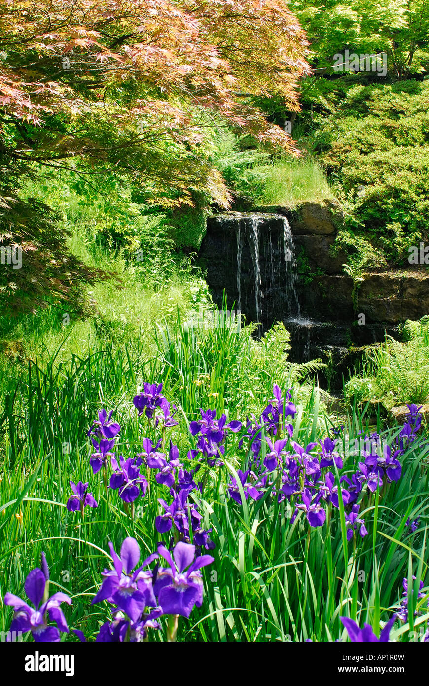 Jardin d'eau, Wakehurst Place, Sussex, UK Banque D'Images