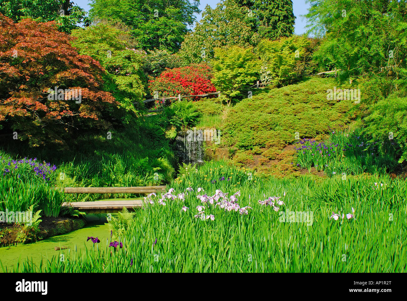 Jardin d'eau, Wakehurst Place, Sussex, UK Banque D'Images