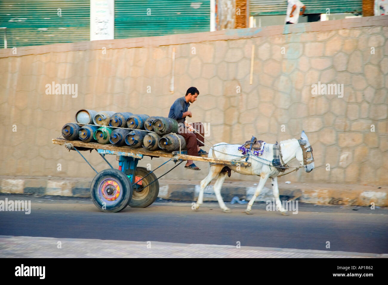 Ane au travail dans la rue, Assouan, Egypte, Moyen-Orient DSC 4309 Banque D'Images