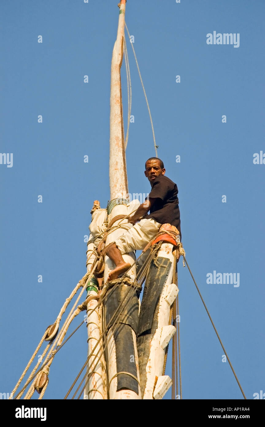 Équipage nubien au sommet du mât furls la voile sur une felouque, Nil, Assouan, Egypte, Moyen-Orient. DSC 4375 Banque D'Images