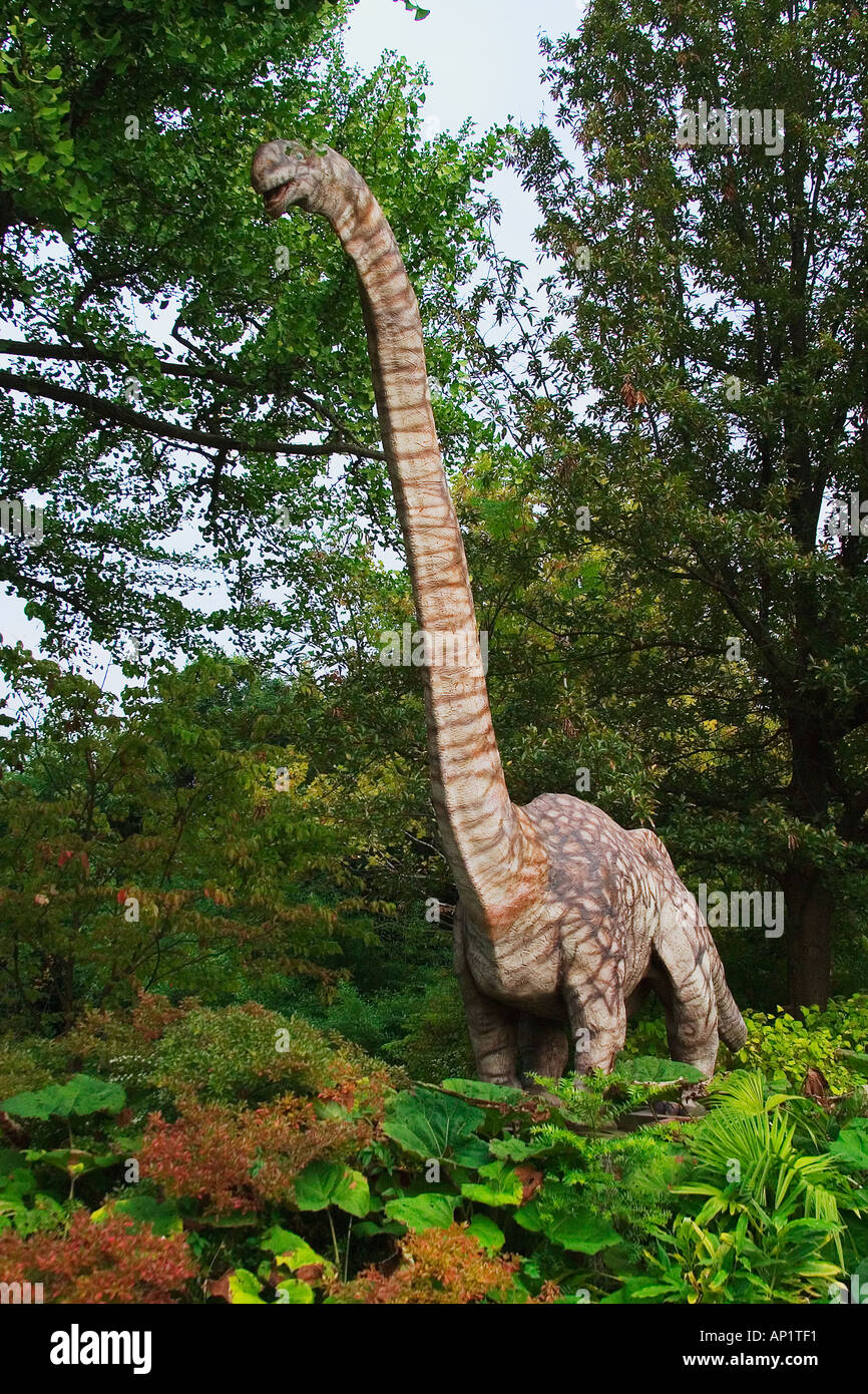 Omeisaurus vivaient dans le Jurassique tardif au début du Crétacé Banque D'Images