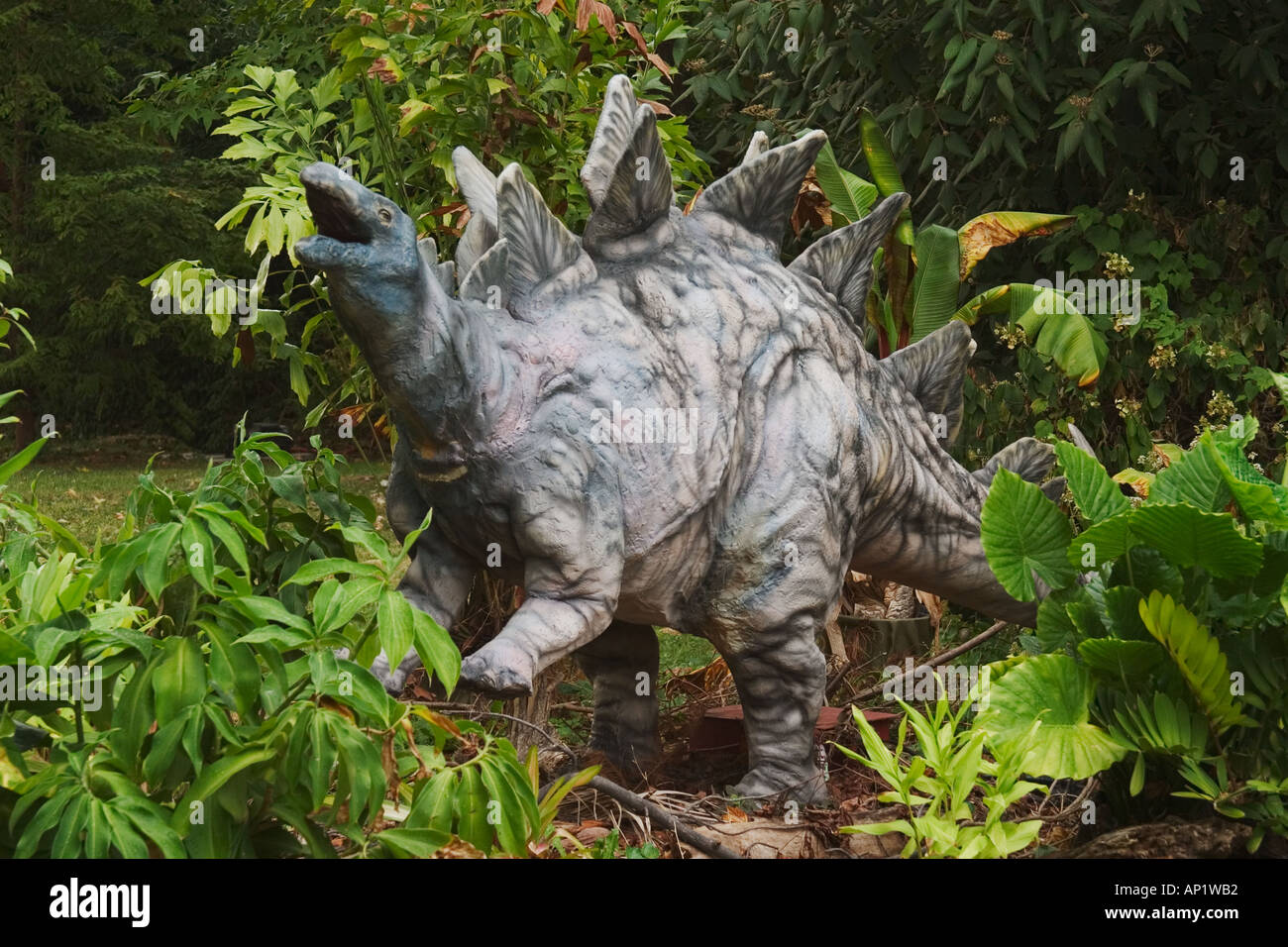 Dinosaure stégosaure du Jurassique tardif va à une longueur de 29 pieds et pondéré de 2 à 3 tonnes est un mangeur de plantes Banque D'Images