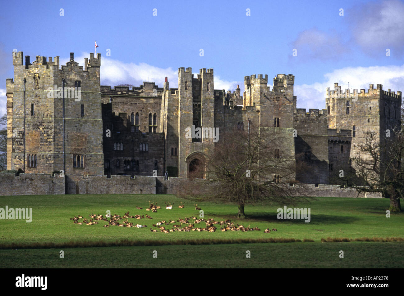 Raby Castle Staindrop County Durham avec le Deer Park en face Banque D'Images