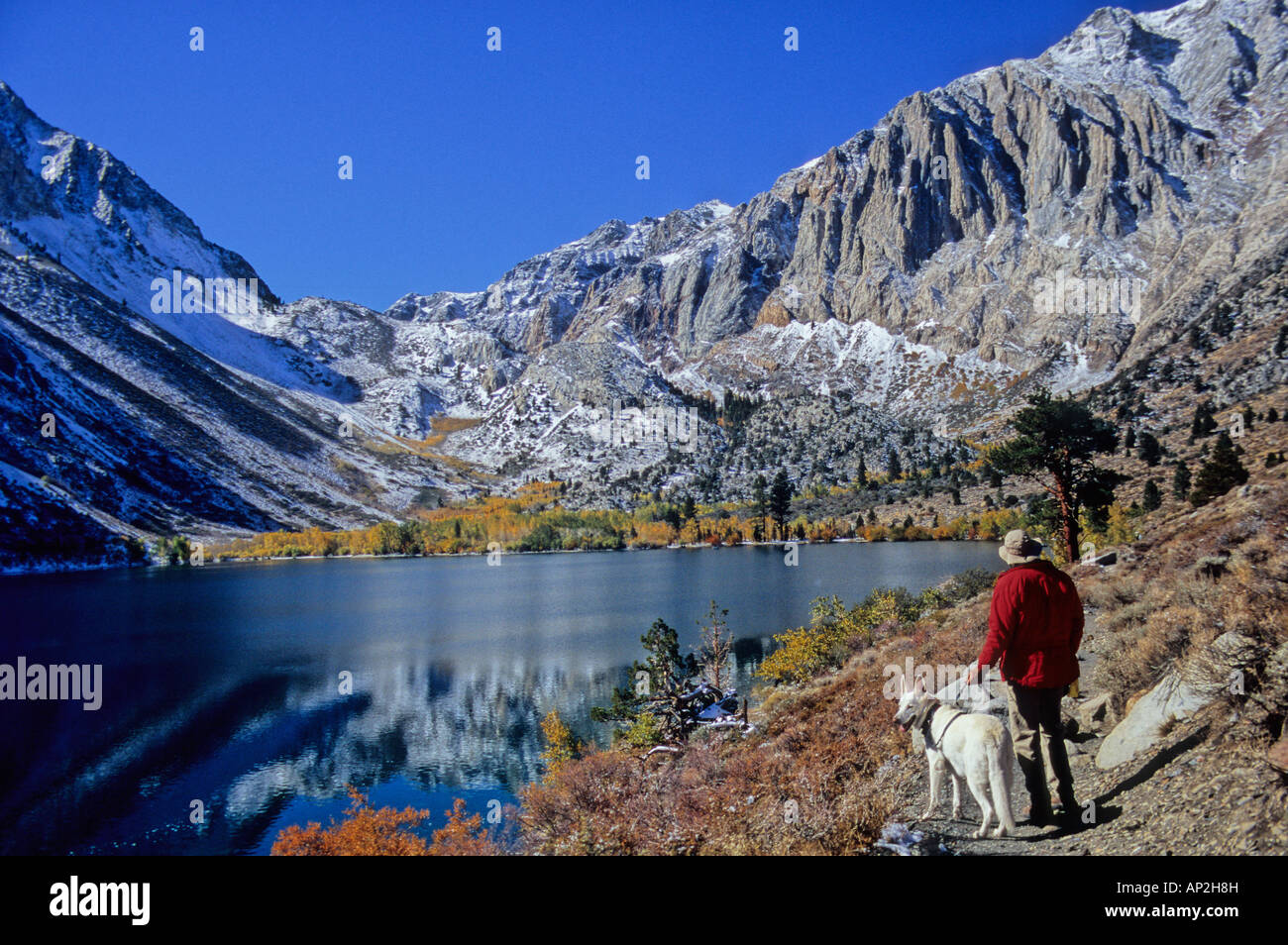 Randonneur et chien à condamner Lake dans les Sierras en automne Banque D'Images